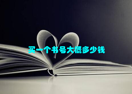 买一个书号大概多少钱
