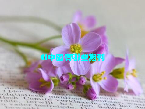 EI中国有哪些期刊