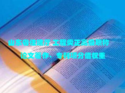 山东省住建厅 工程类正高级职称 论文著作、专利项分值权重