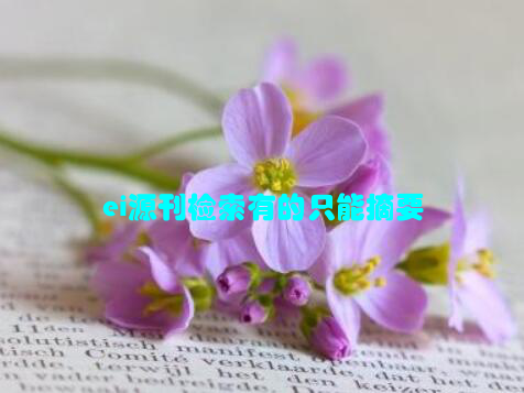 ei源刊检索有的只能摘要