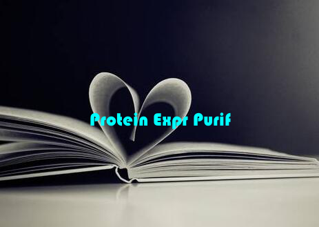 Protein Expr Purif