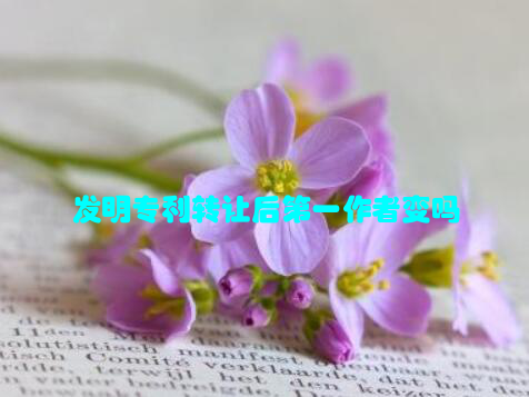 发明专利转让后第一作者变吗