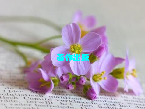 著作出版