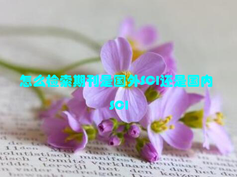 怎么检索期刊是国外SCI还是国内SCI