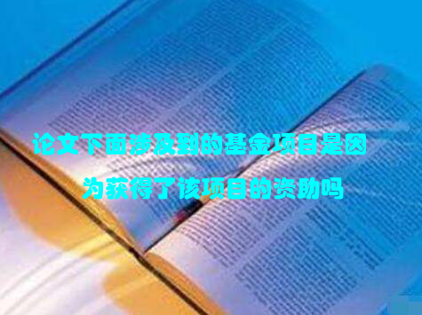 论文下面涉及到的基金项目是因为获得了该项目的资助吗