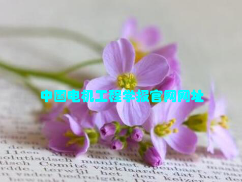 中国电机工程学报官网网址