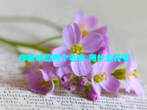 作者单位两个名字,用什么符号