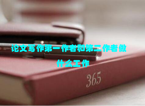 论文写作第一作者和第二作者做什么工作