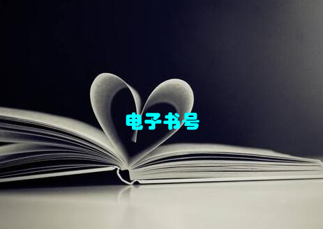 电子书号