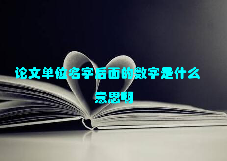 论文单位名字后面的数字是什么意思啊