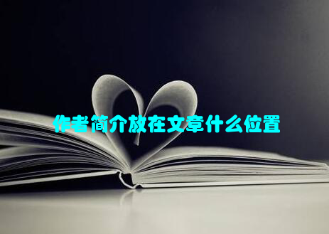 作者简介放在文章什么位置