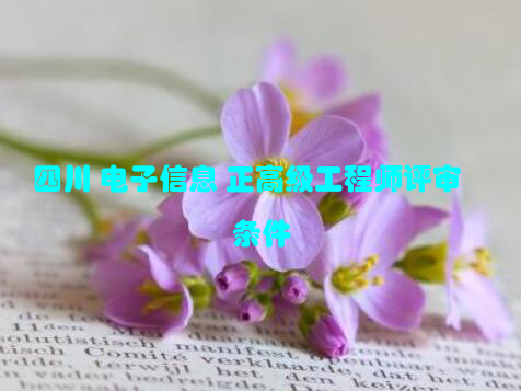 四川 电子信息 正高级工程师评审条件
