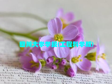 四川大学学报(工程科学版)