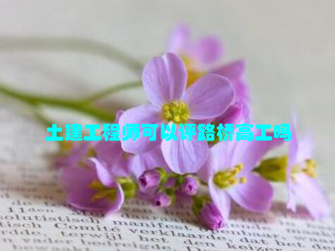 土建工程师可以评路桥高工吗
