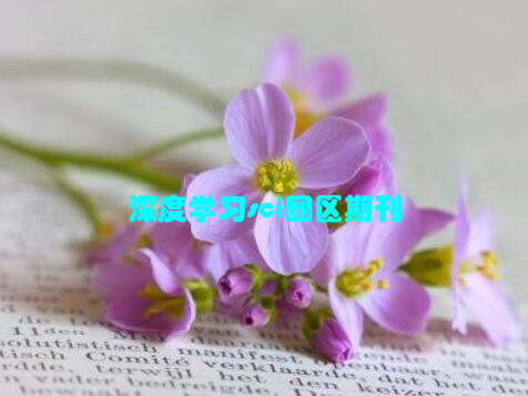 深度学习sci四区期刊