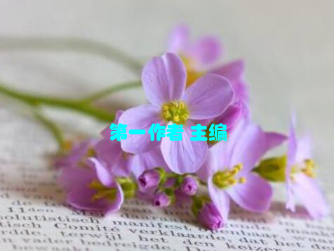 第一作者 主编