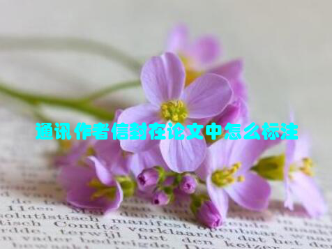 通讯作者信封在论文中怎么标注