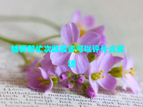 抽调帮忙次数最多可以评什么奖项
