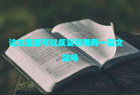 论文里面可以反复引用同一篇文献吗