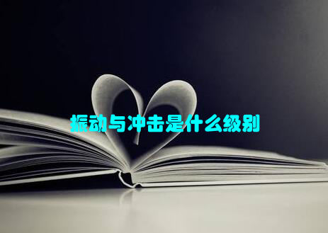 振动与冲击是什么级别