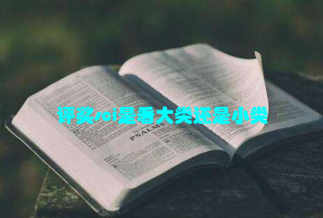 评奖sci是看大类还是小类