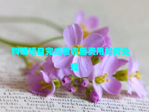 科研项目完成验收后费用如何处理