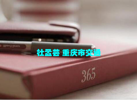 杜孟芸 重庆市交通