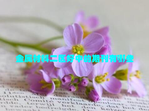 金属材料二区好中的期刊有哪些