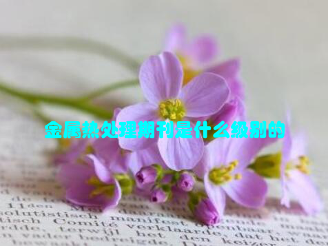 金属热处理期刊是什么级别的