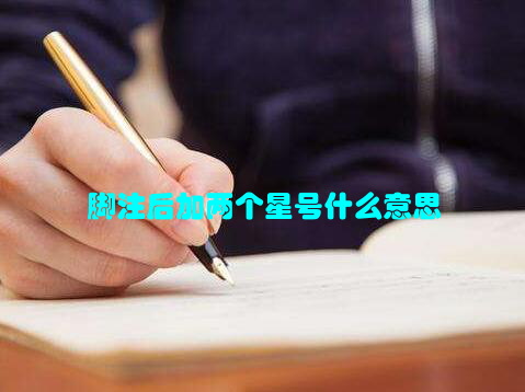 脚注后加两个星号什么意思