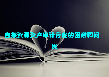 自然资源资产审计存在的困难和问题