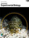 BRITISH JOURNAL OF EXPERIMENTAL BIOLOG