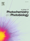 Journal of Photochemistry and Photobio
