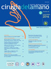 Revista Iberoamericana de Cirugia de l