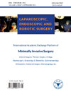 Laparoscopic Endoscopic and Robotic Su