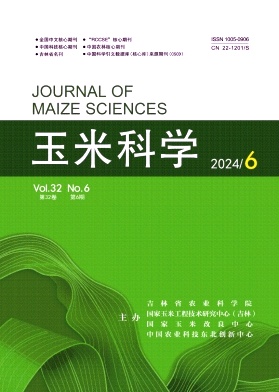 玉米科学